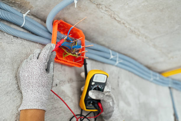 Best Local Electrician Companies  in Cactus, TX