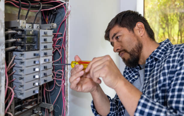 Best Ceiling Fan Installation Electrician  in Cactus, TX